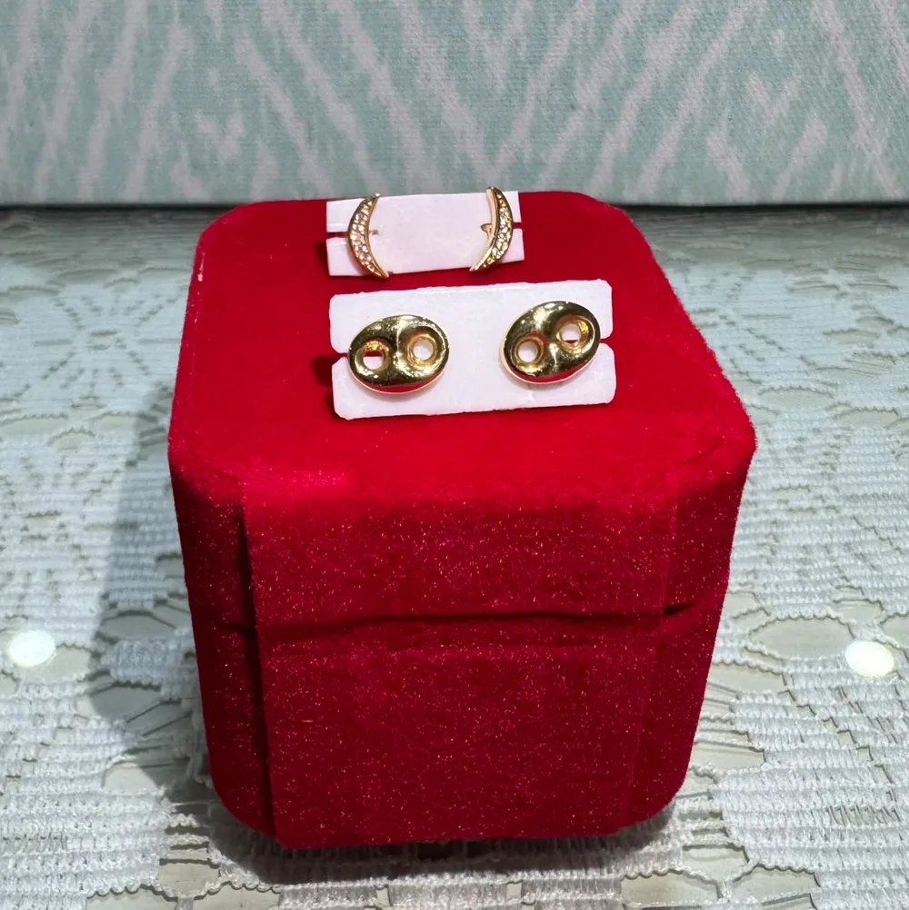 Topos Oro 18K #100